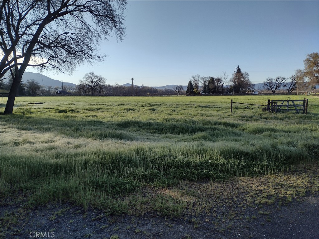 a view of a green field