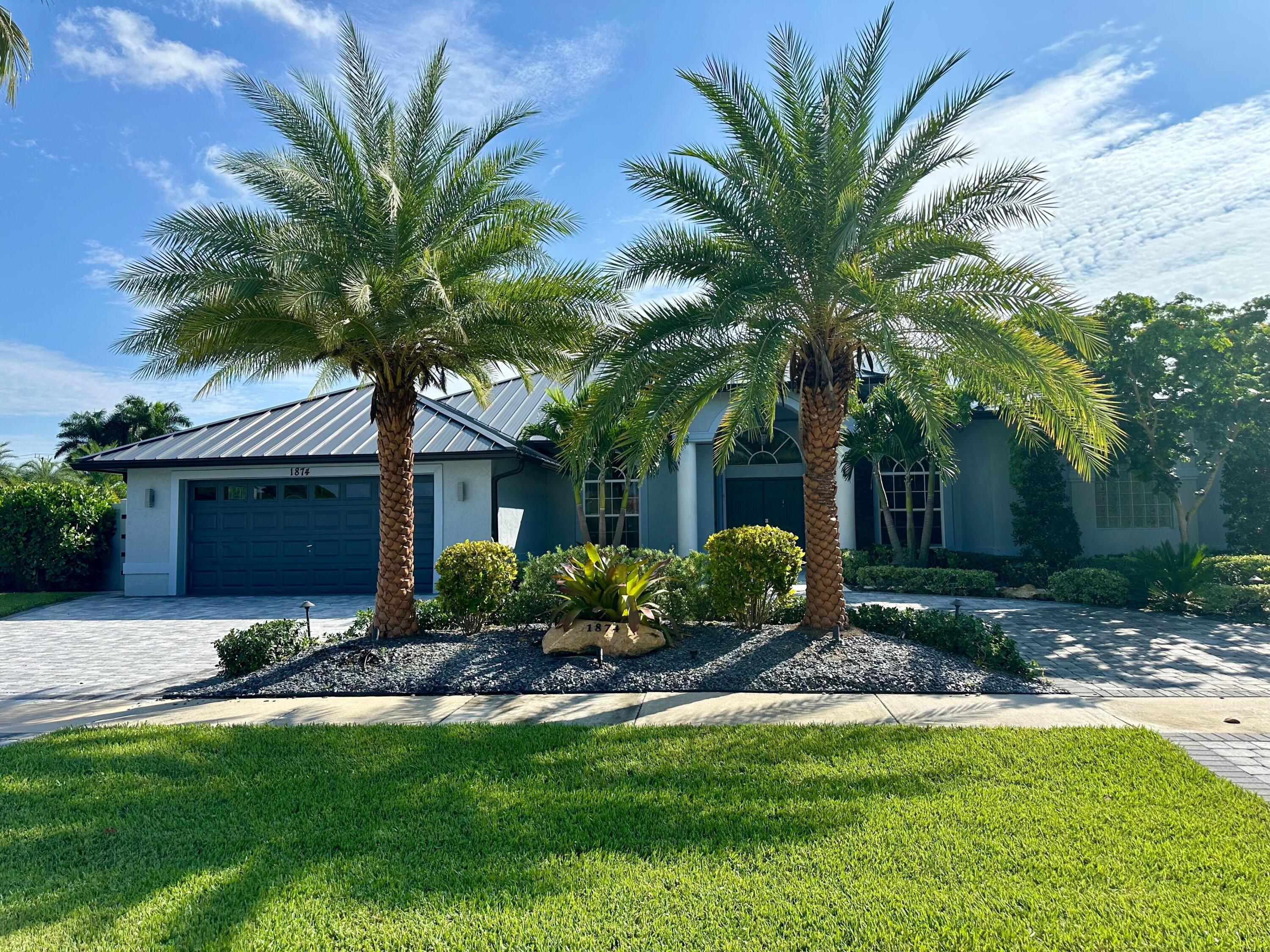 a view of a backyard with a plants and palm trees