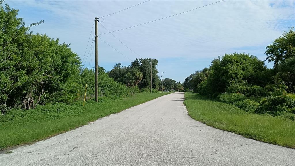 a view of a road with a yard