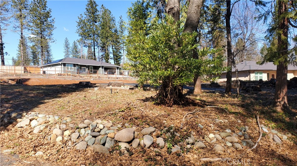 a view of a yard with large trees