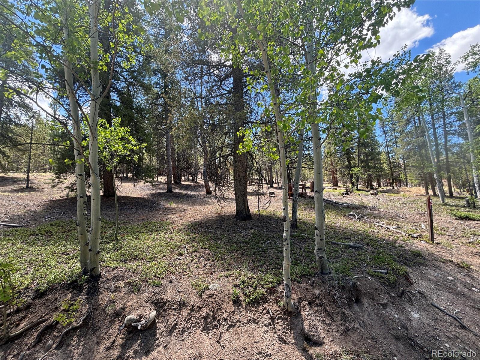 a view of outdoor space with trees