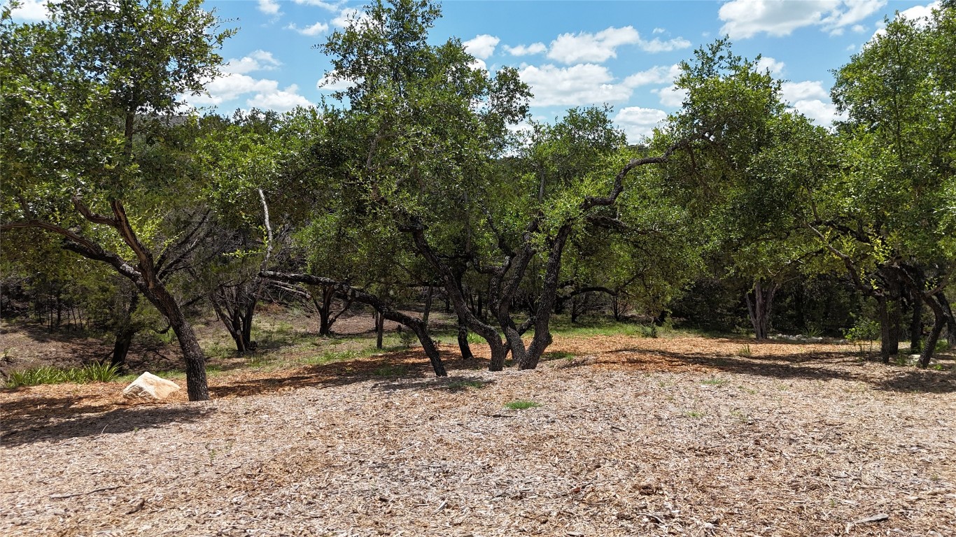 Lot has been cleared of all cedars