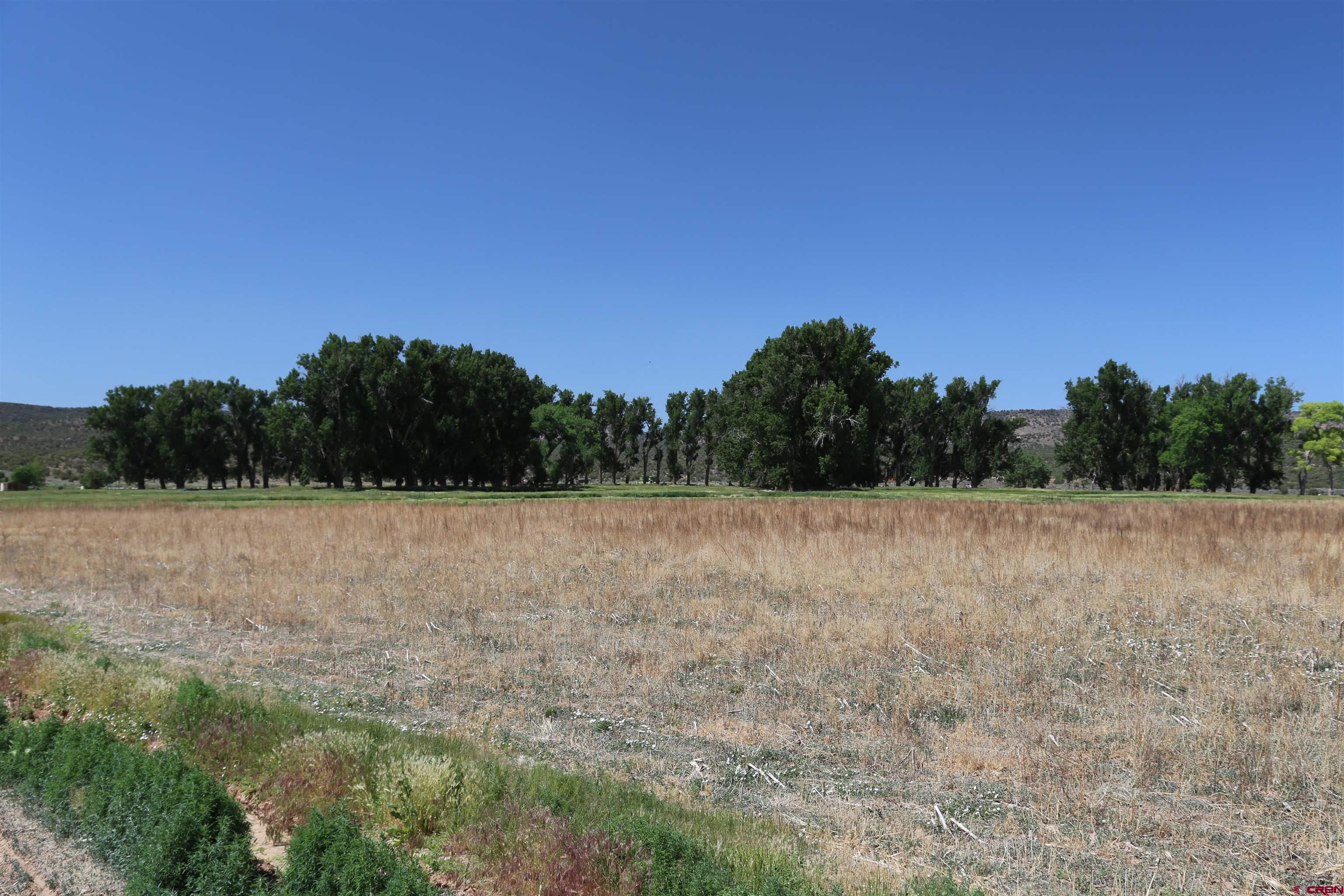 a view of outdoor space with green field and trees