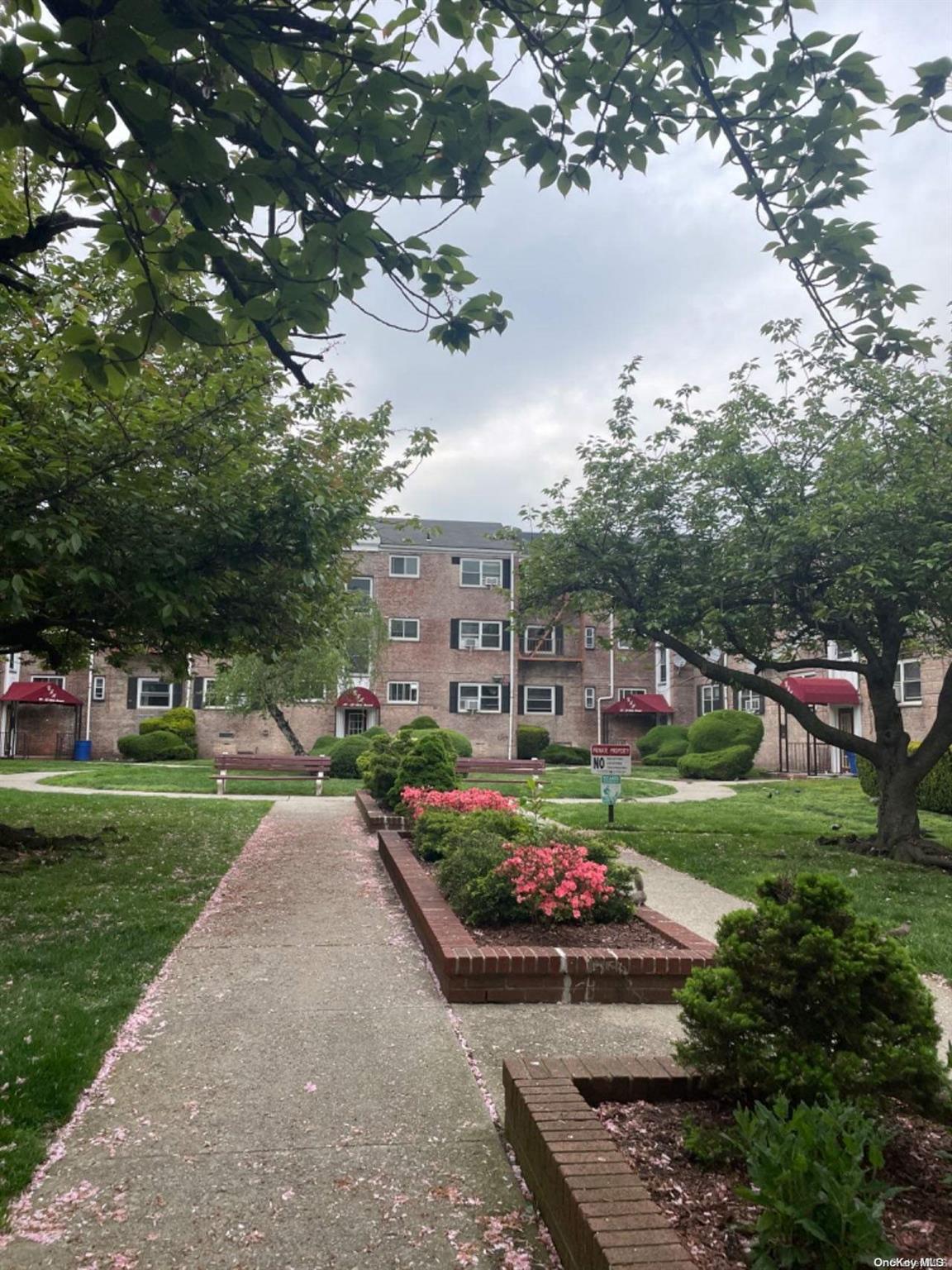 a view of a garden with flowers and trees