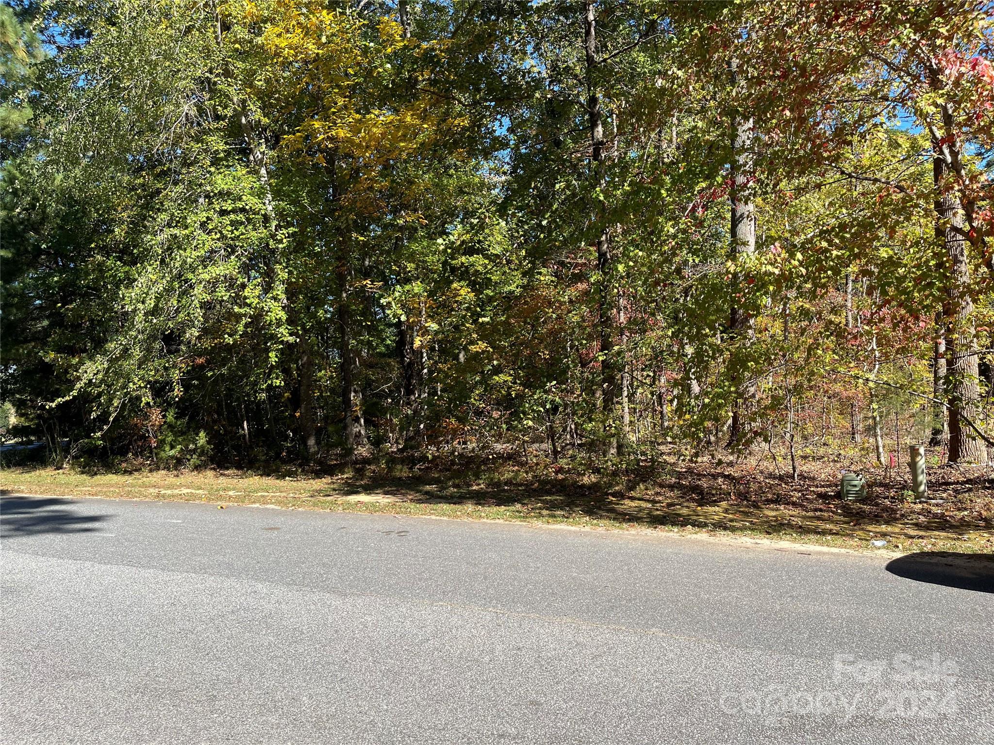 a view of road and trees