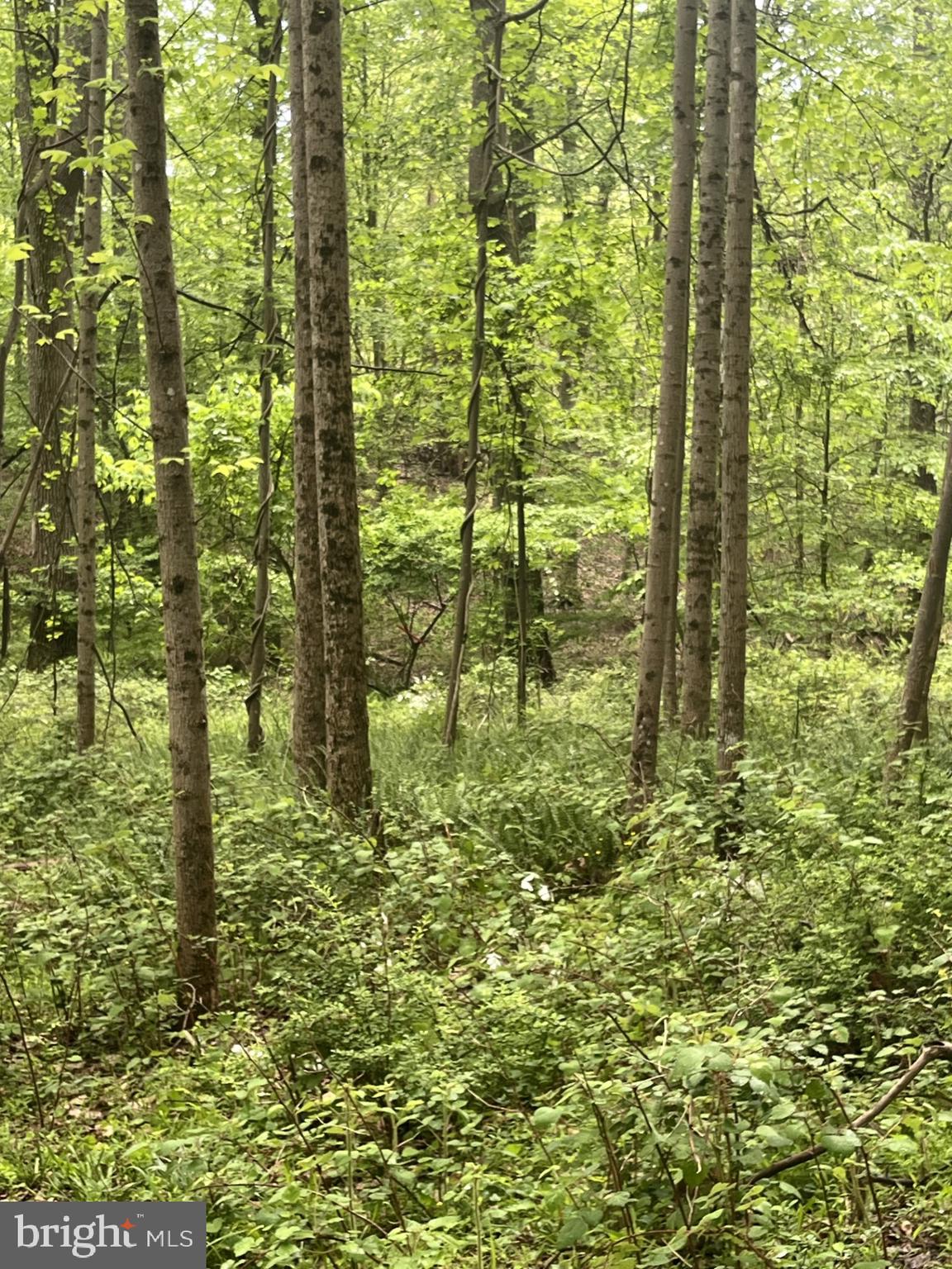 a view of lake from a yard