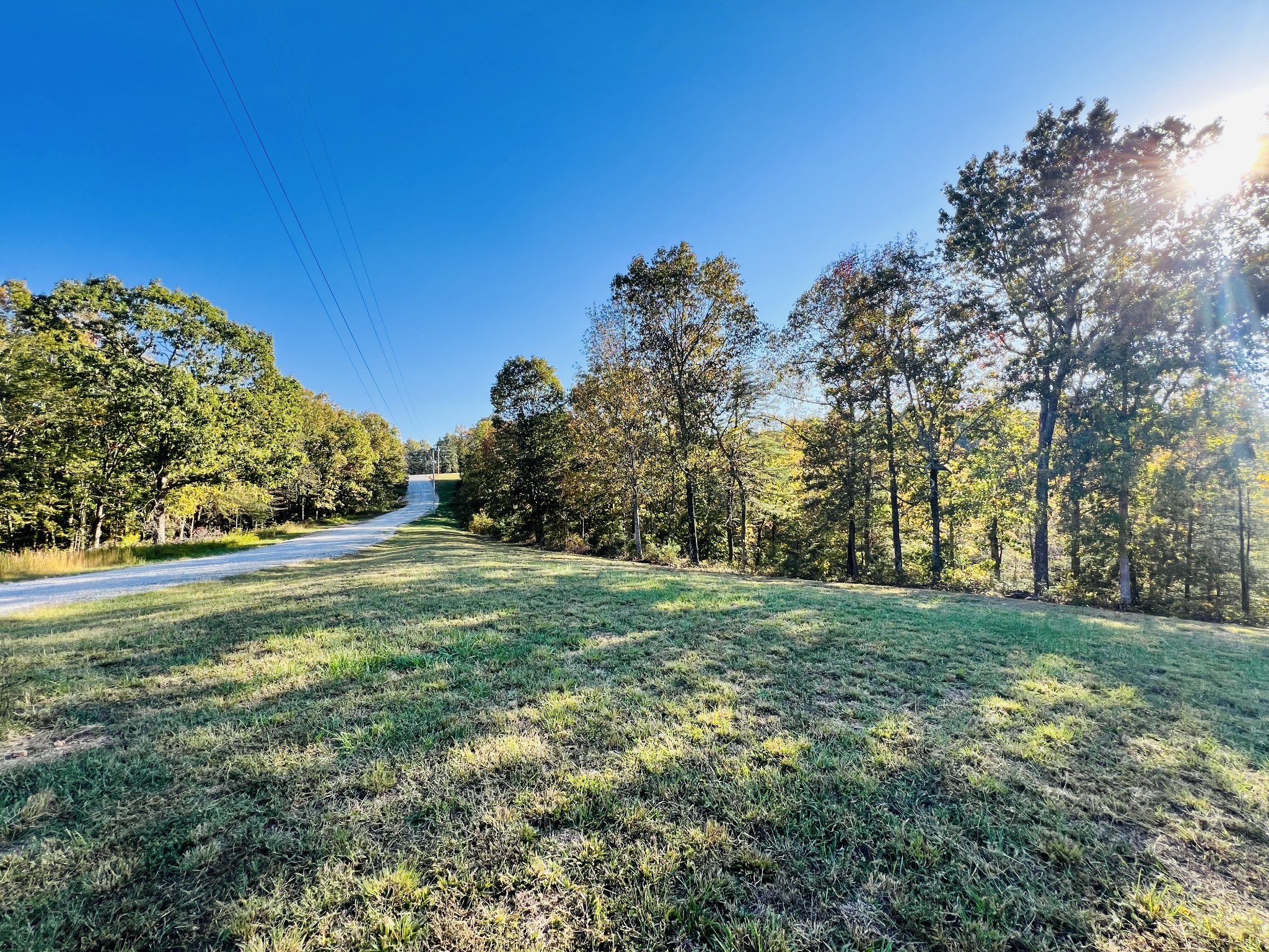 a view of a field with trees