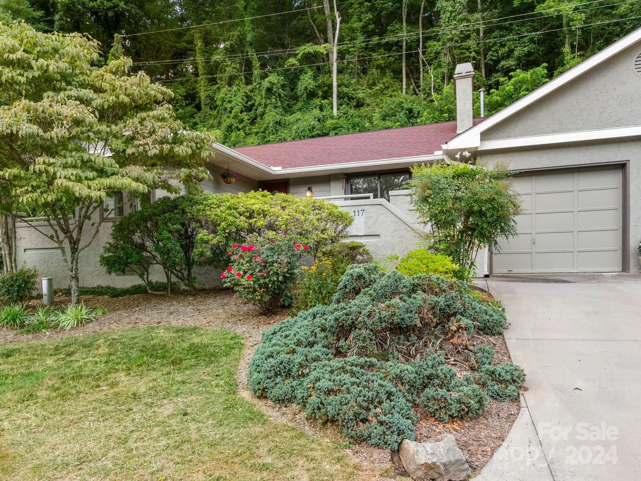 a view of a backyard with plants