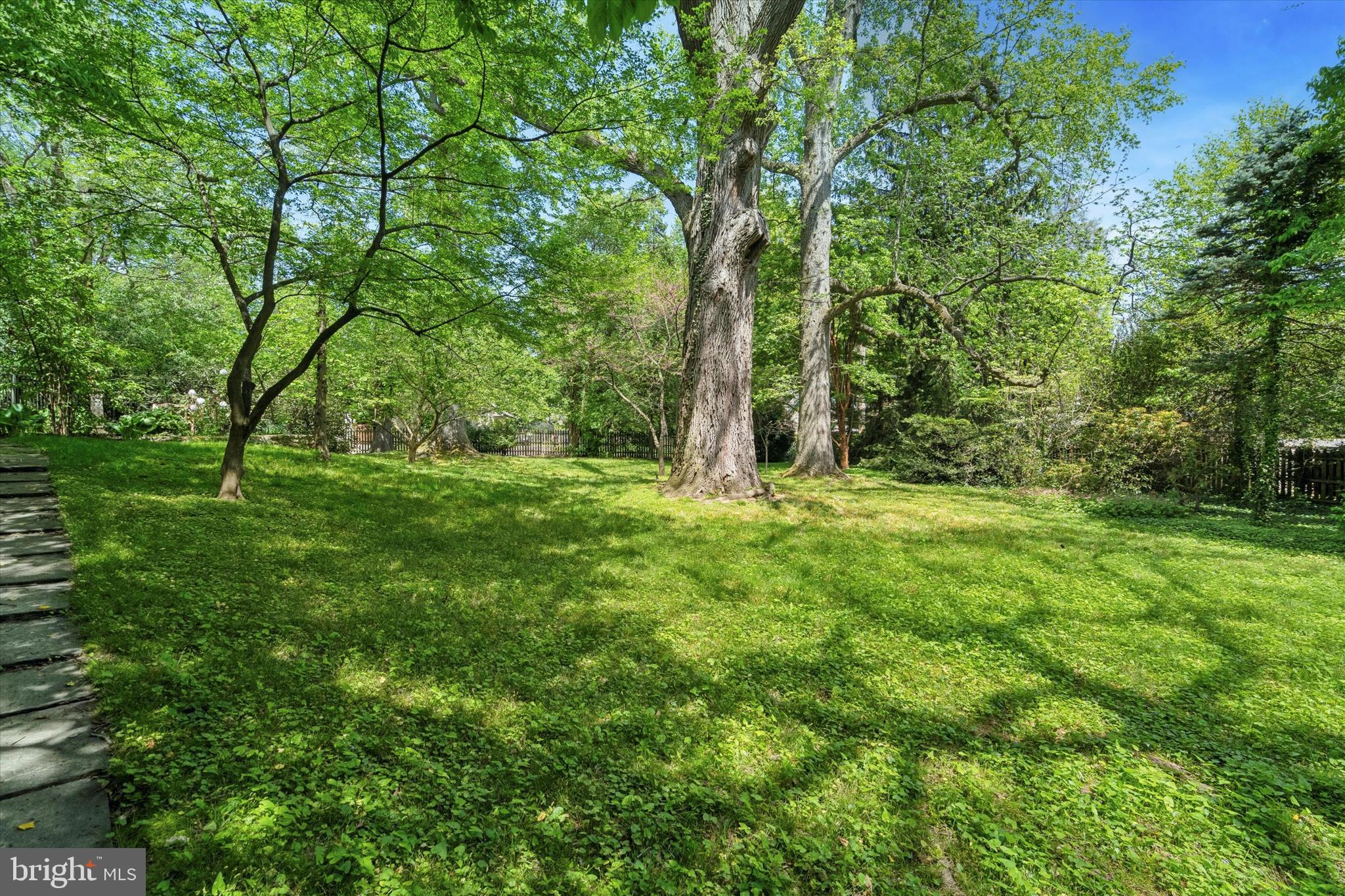 a big yard with lots of green space and deers