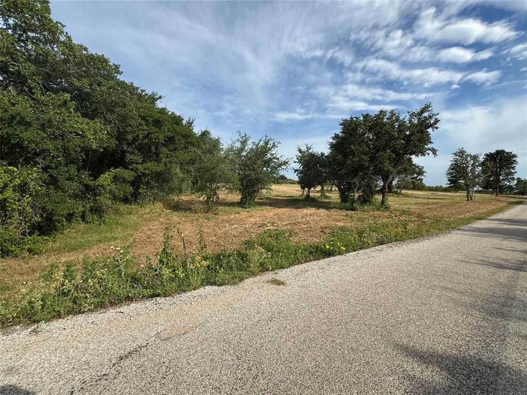 a view of a road with a yard