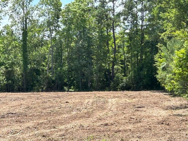 $550,000 | 1 Ace Basin Highway | Jacksonboro