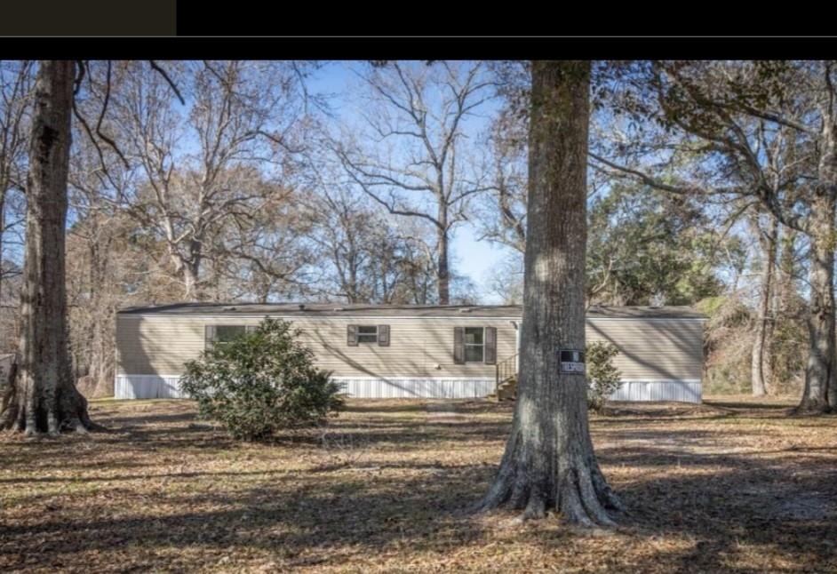 a view of a tree in the middle of a yard