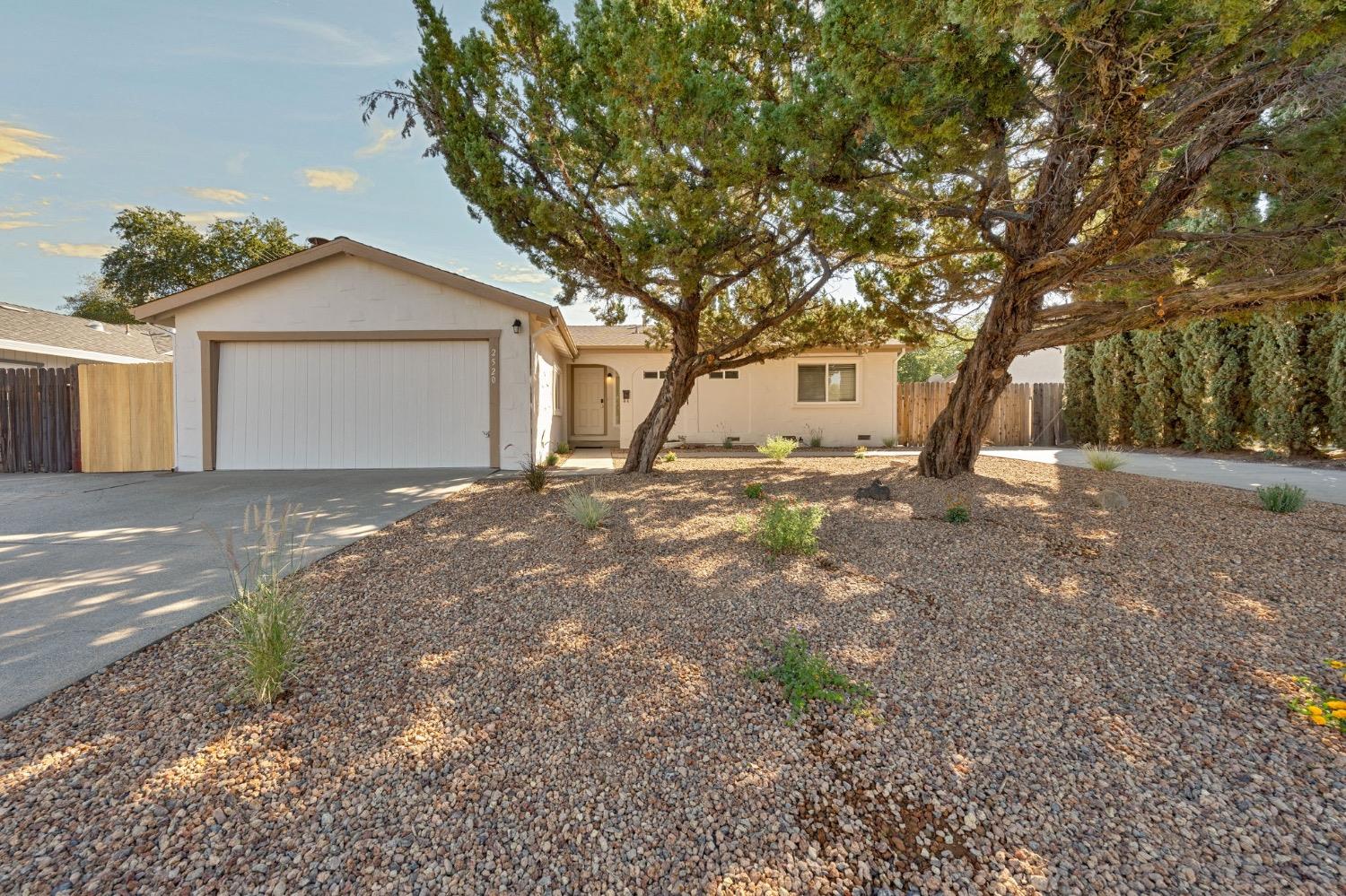 a view of a house with a tree and a tree