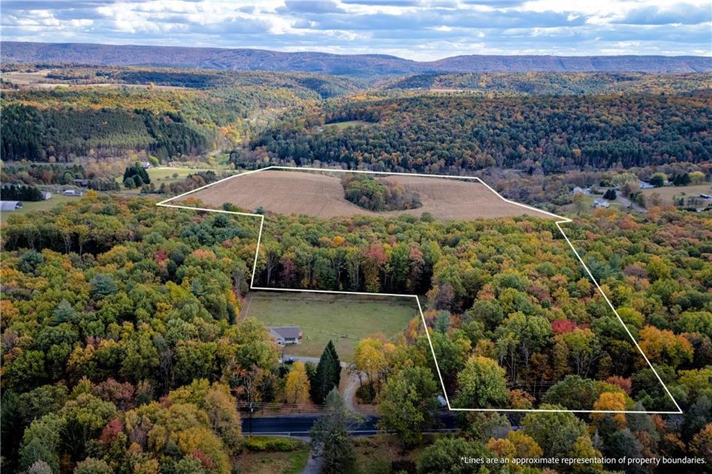 an aerial view of lake residential house and green space