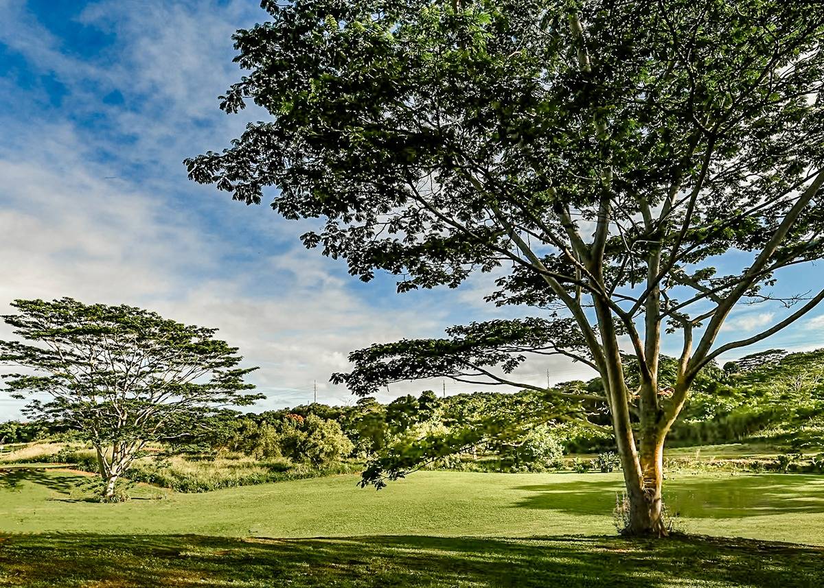 a view of a yard with an ocean