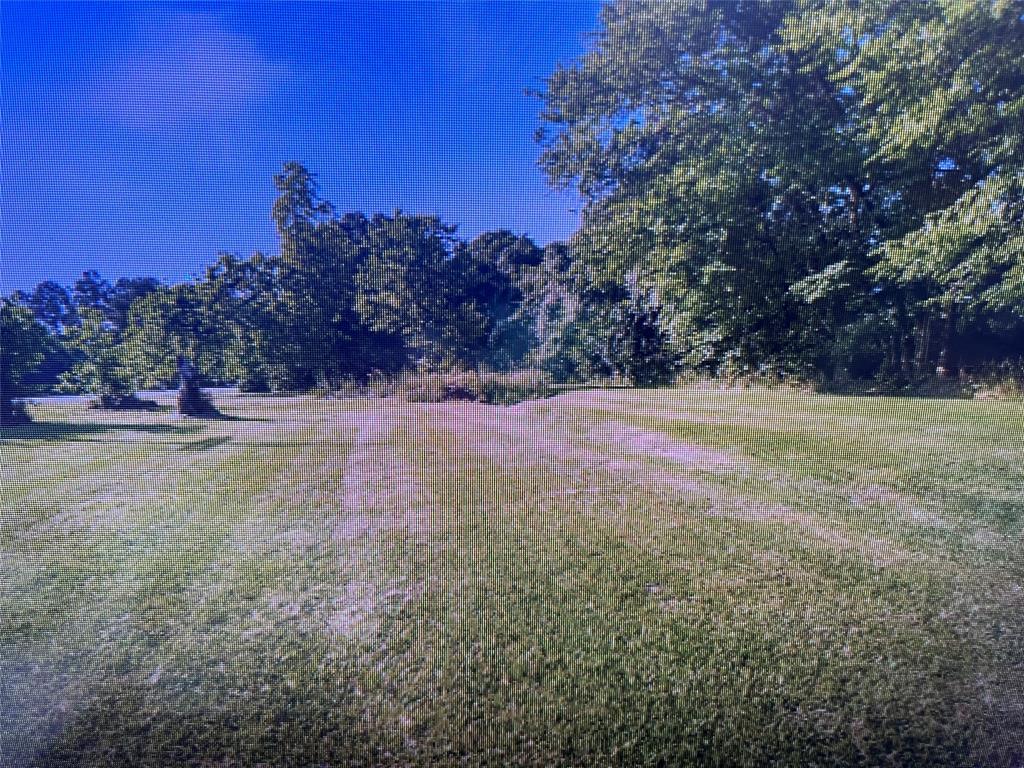 a view of dirt field with trees in the background