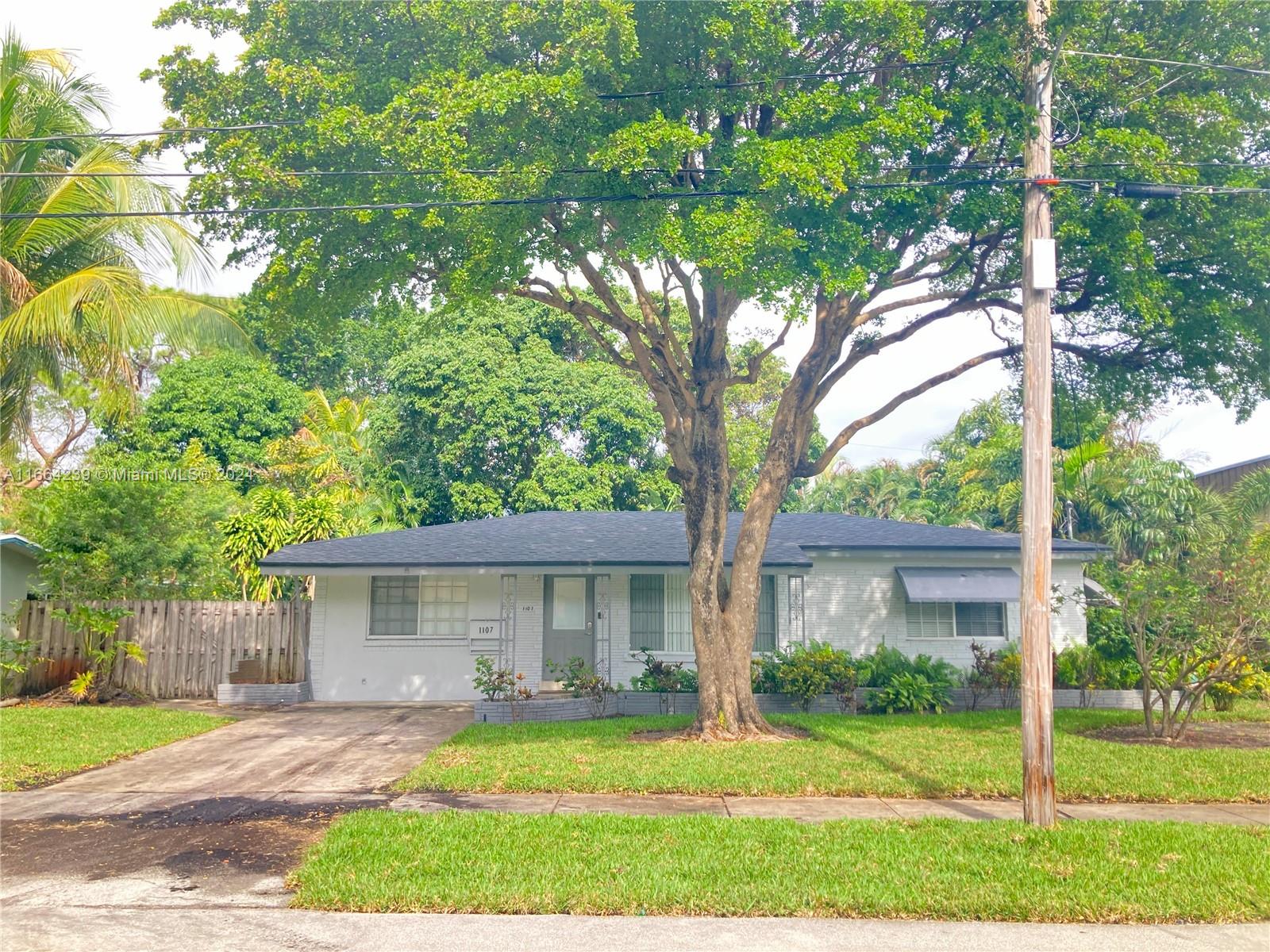 a view of a yard in front of a house with a large tree