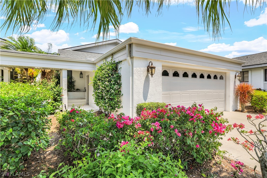 a view of a potted plants in front of a house