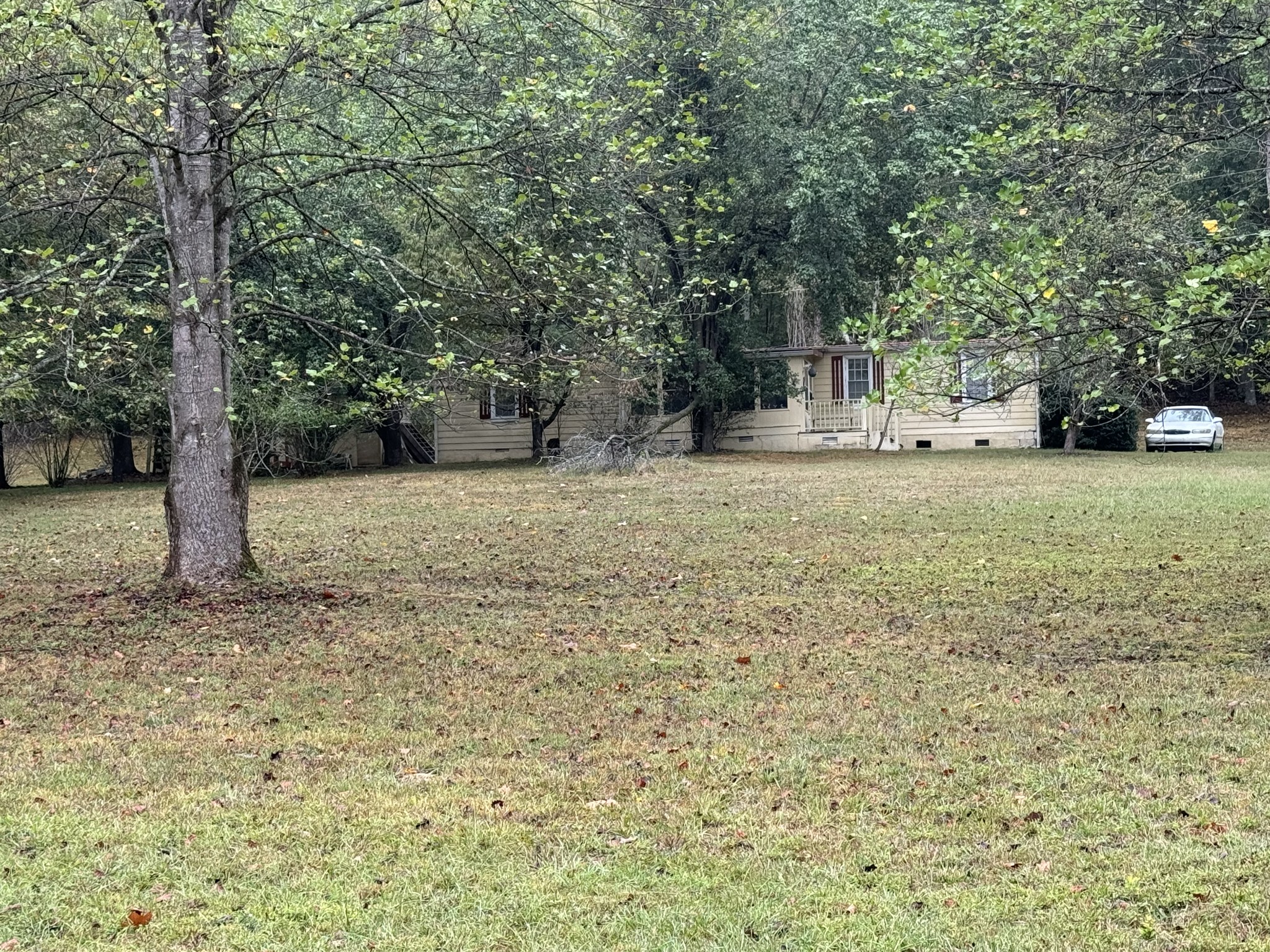 a house with trees in front of it