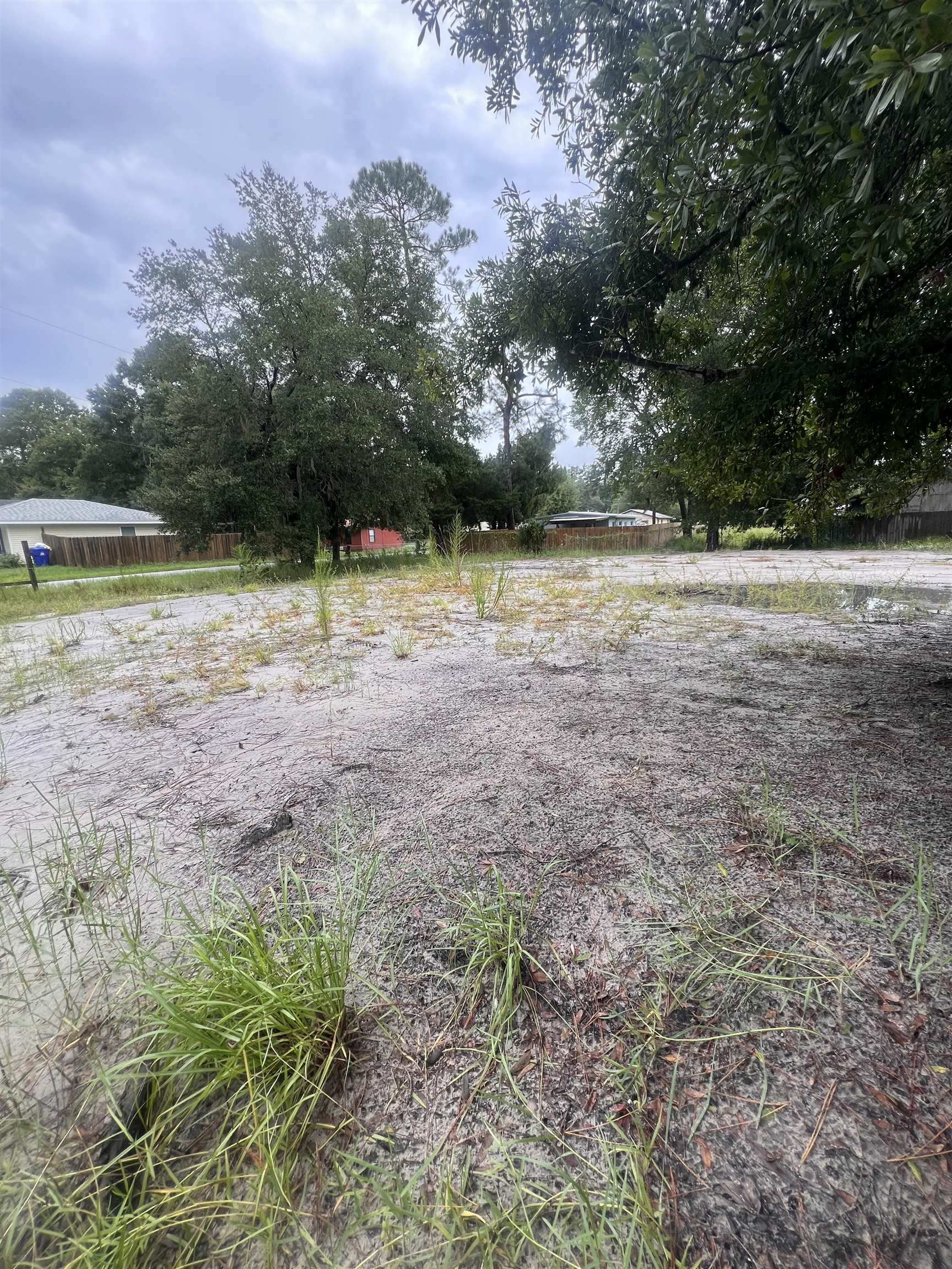 a view of backyard with green space