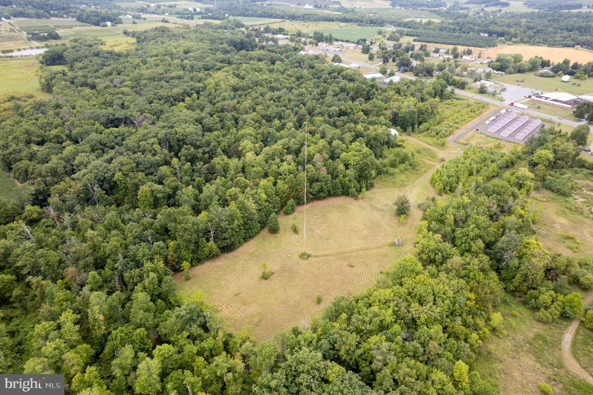 a view of a yard