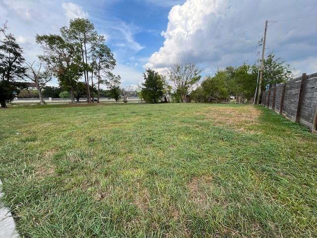 a view of a field with trees