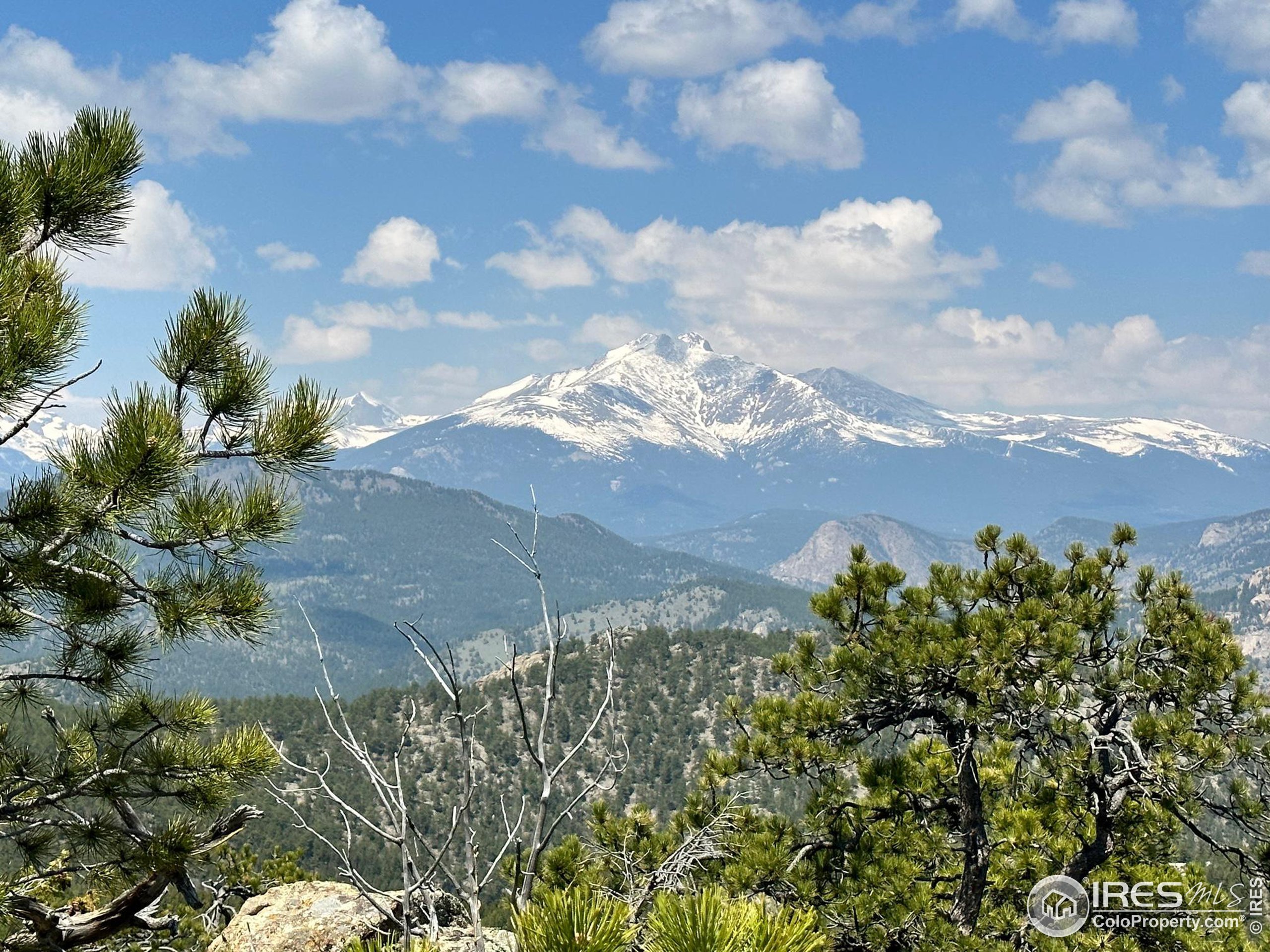 a view of a bunch of trees