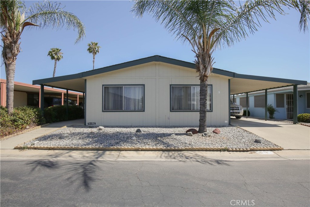 a house with palm tree in front of it