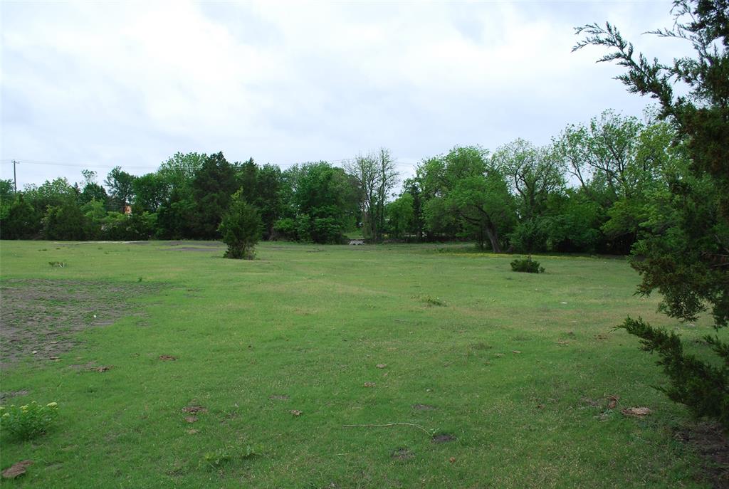 a view of a grassy field with trees in the background