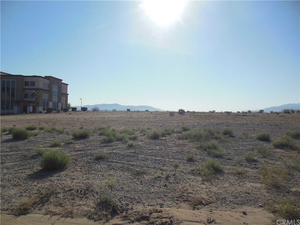 a view of a dry yard with mountains in the background