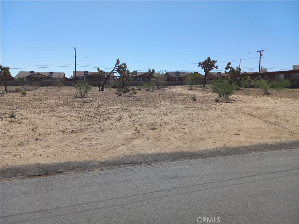 a view of a dry yard with wooden fence