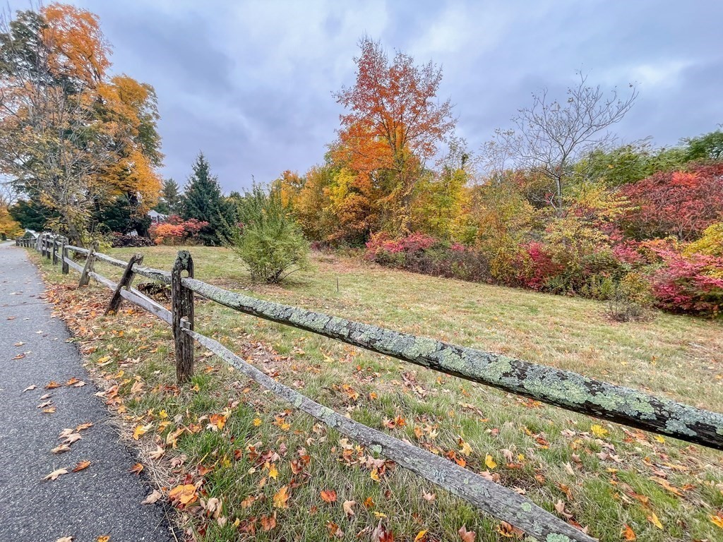 a view of a yard with an trees