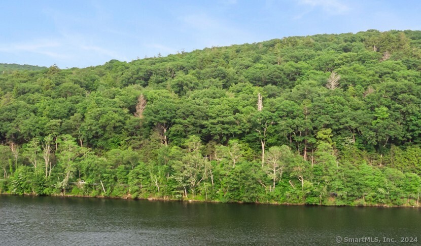 Drone photograph, looking directly at 31 June Road from Lake Waramaug.