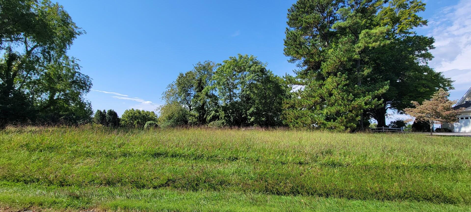 a view of backyard with green space