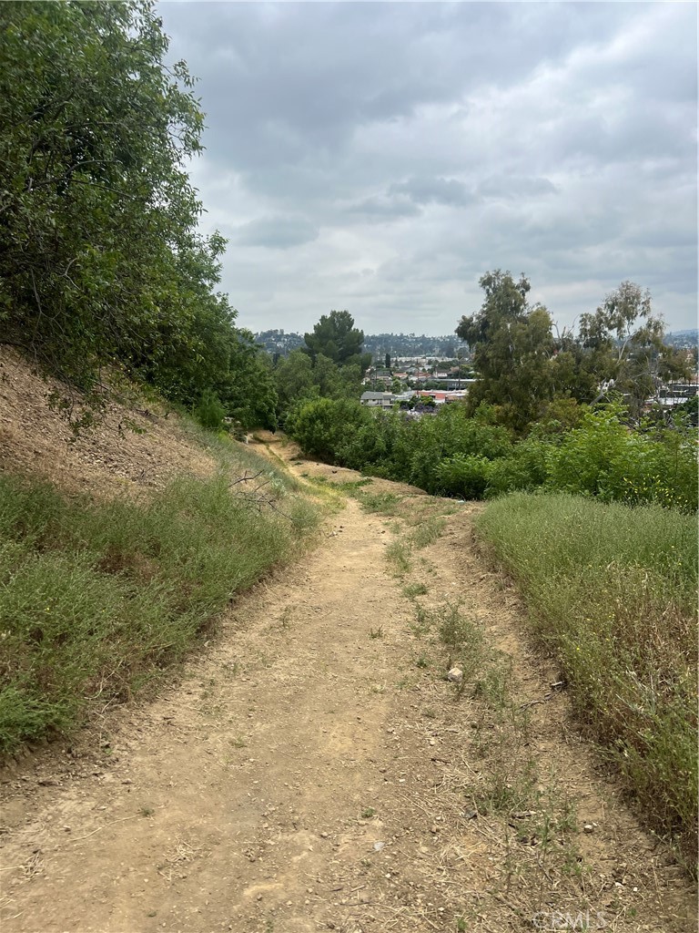 a view of a large yard with lots of green space