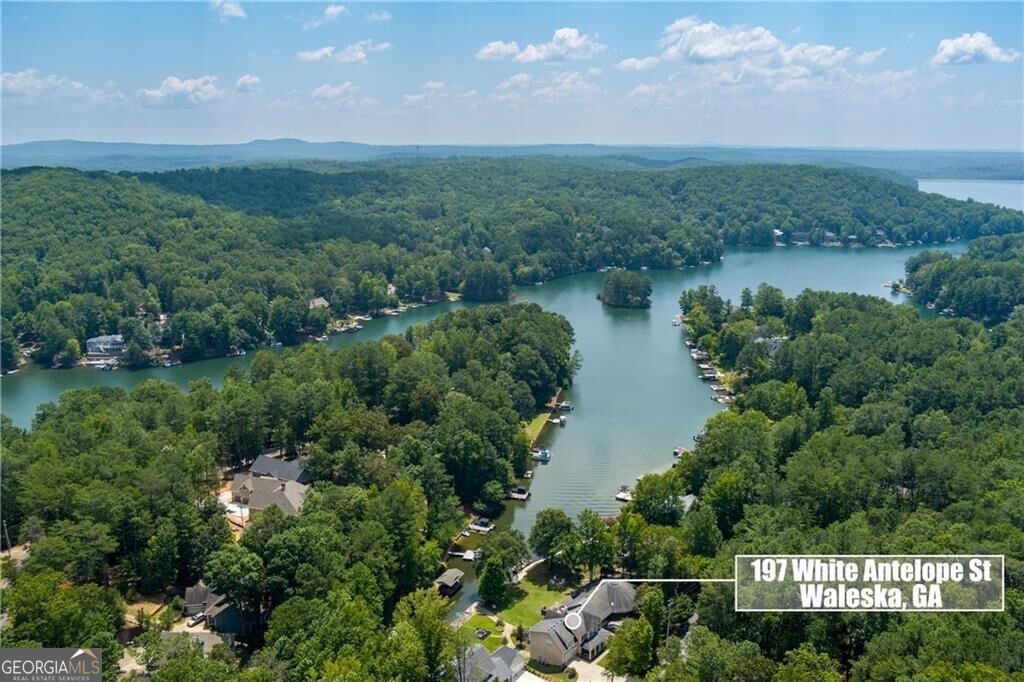 a view of a lake with a city