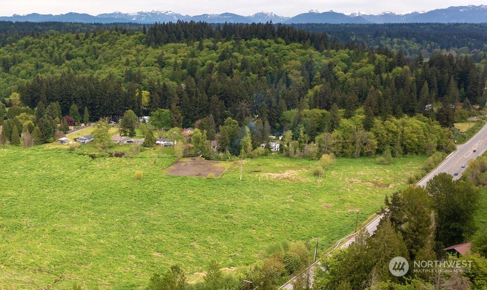 a view of a lush green hillside and houses