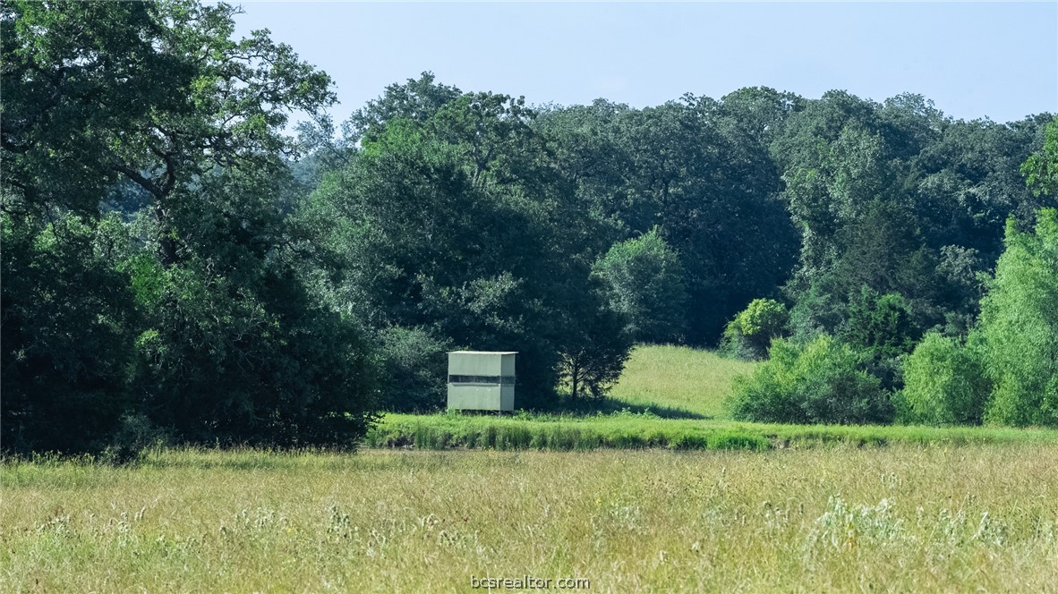 a view of a back yard