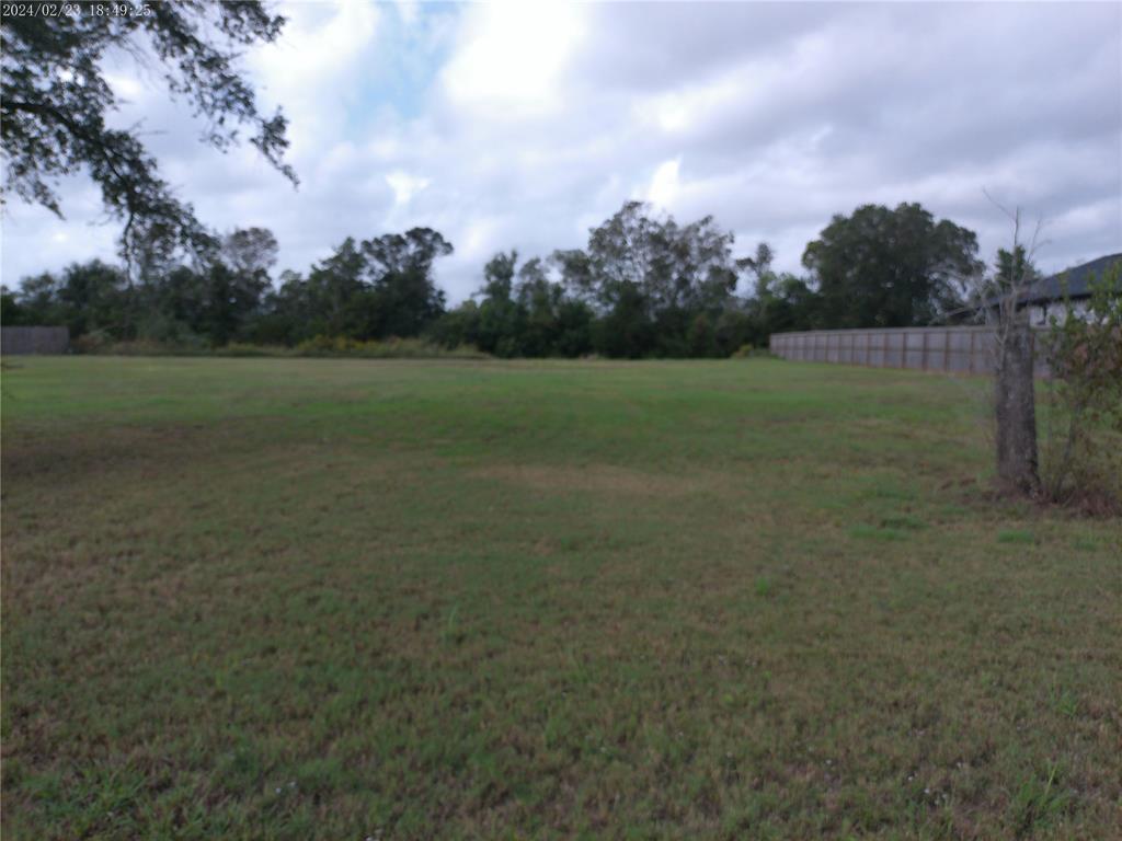 a view of outdoor space with green field and trees