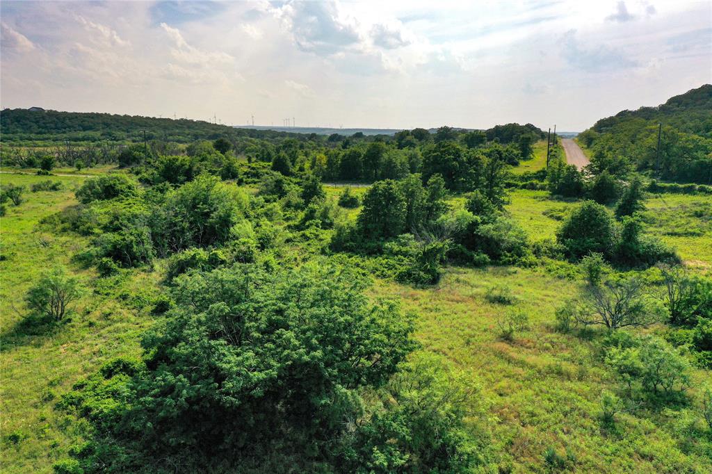 a view of a lush green forest with trees and houses