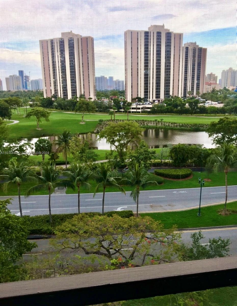 a view of a park with a large trees