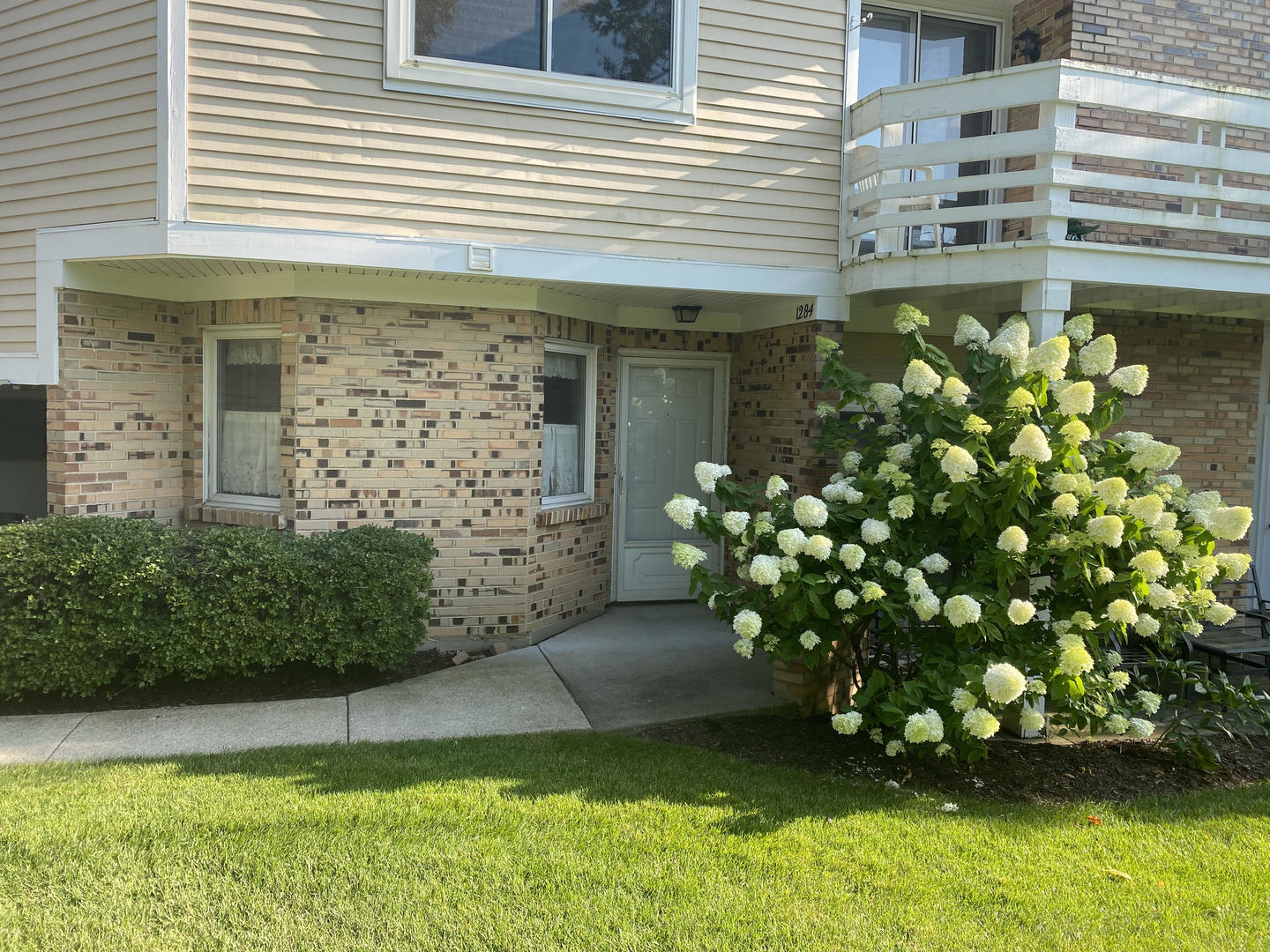 a view of a house with a garden