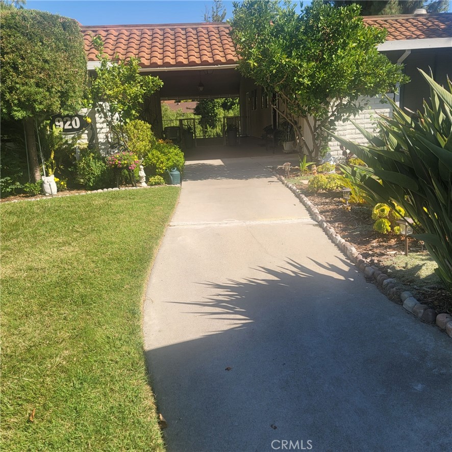 a view of backyard with green space