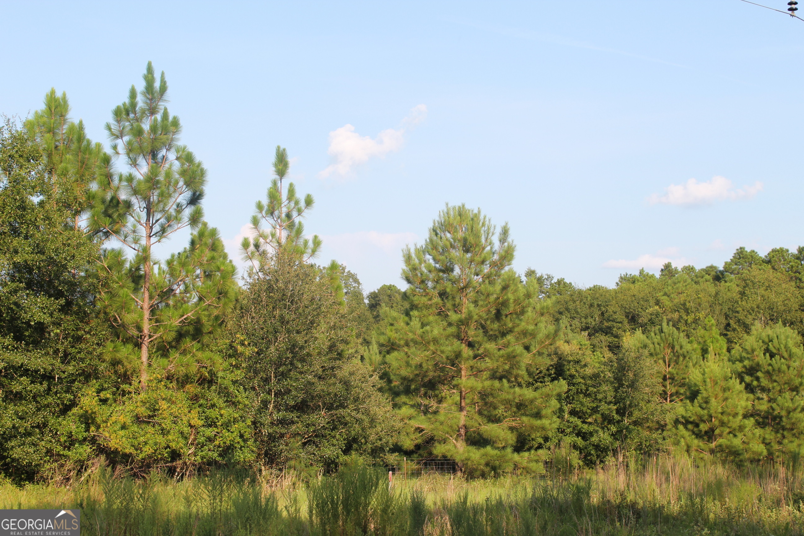 a view of a lake