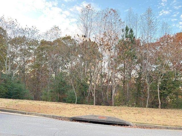 a view of a yard with trees