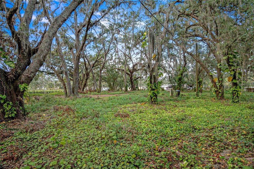 a view of outdoor space with trees all around