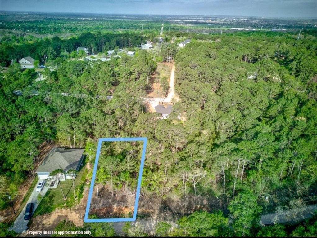 a view of a big yard with large trees