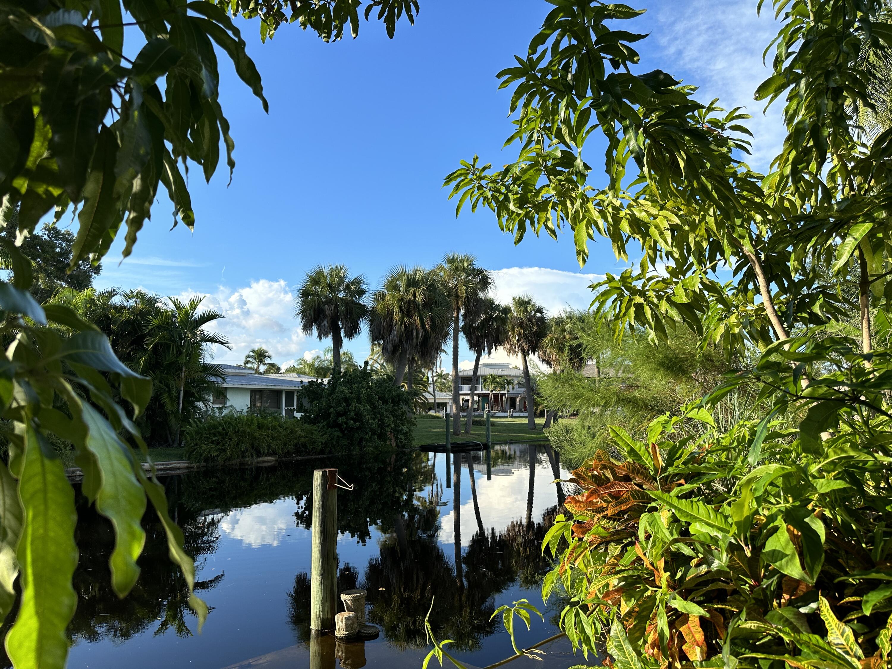 a view of a backyard of the house