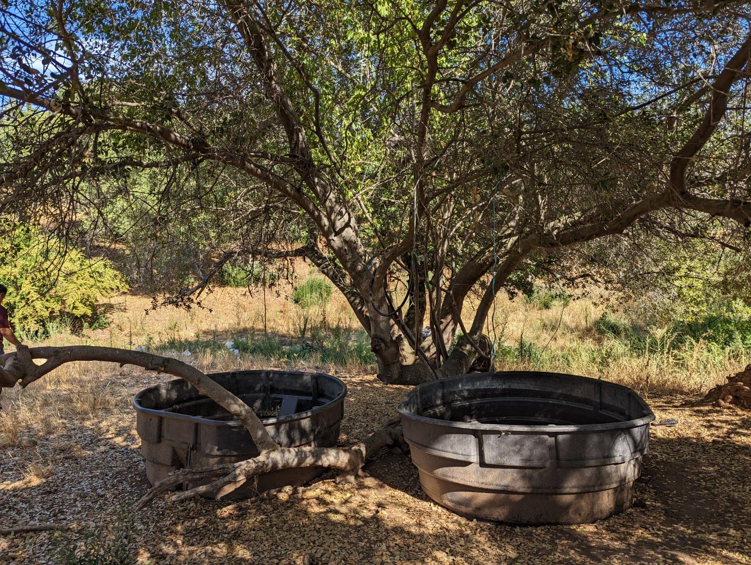 a view of back yard of the house