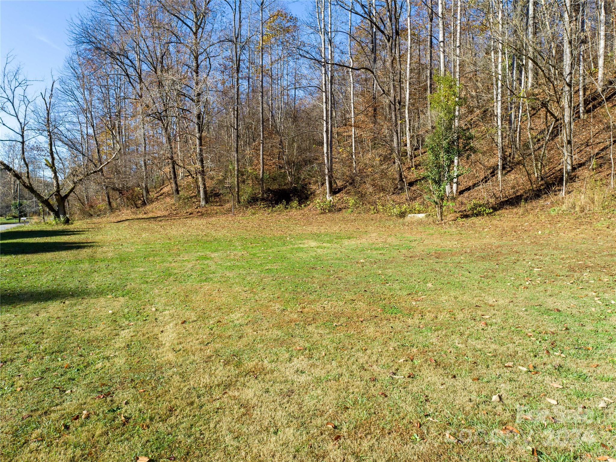 a view of yard with large tree